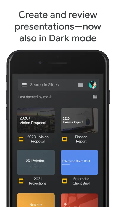 Google Slides Screenshots