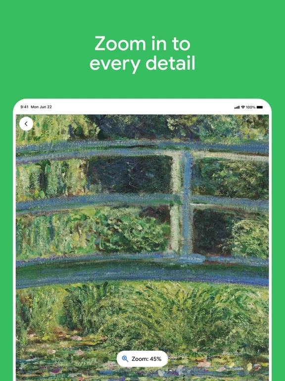 Google Arts & Culture iPad  Ekran Görüntüleri