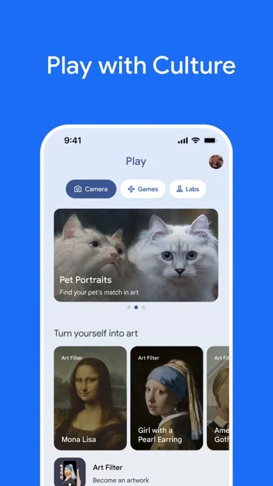 Google Arts & Culture Ekran Görüntüleri