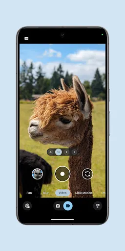 Скриншоты Pixel Camera