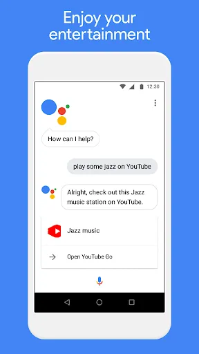 Tangkapan layar Google Assistant Go
