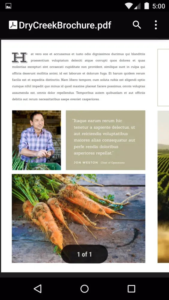 Capturas de tela do Google PDF Viewer