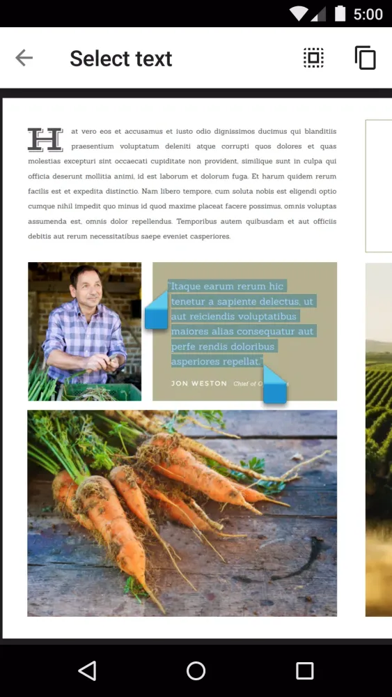 Capturas de tela do Google PDF Viewer