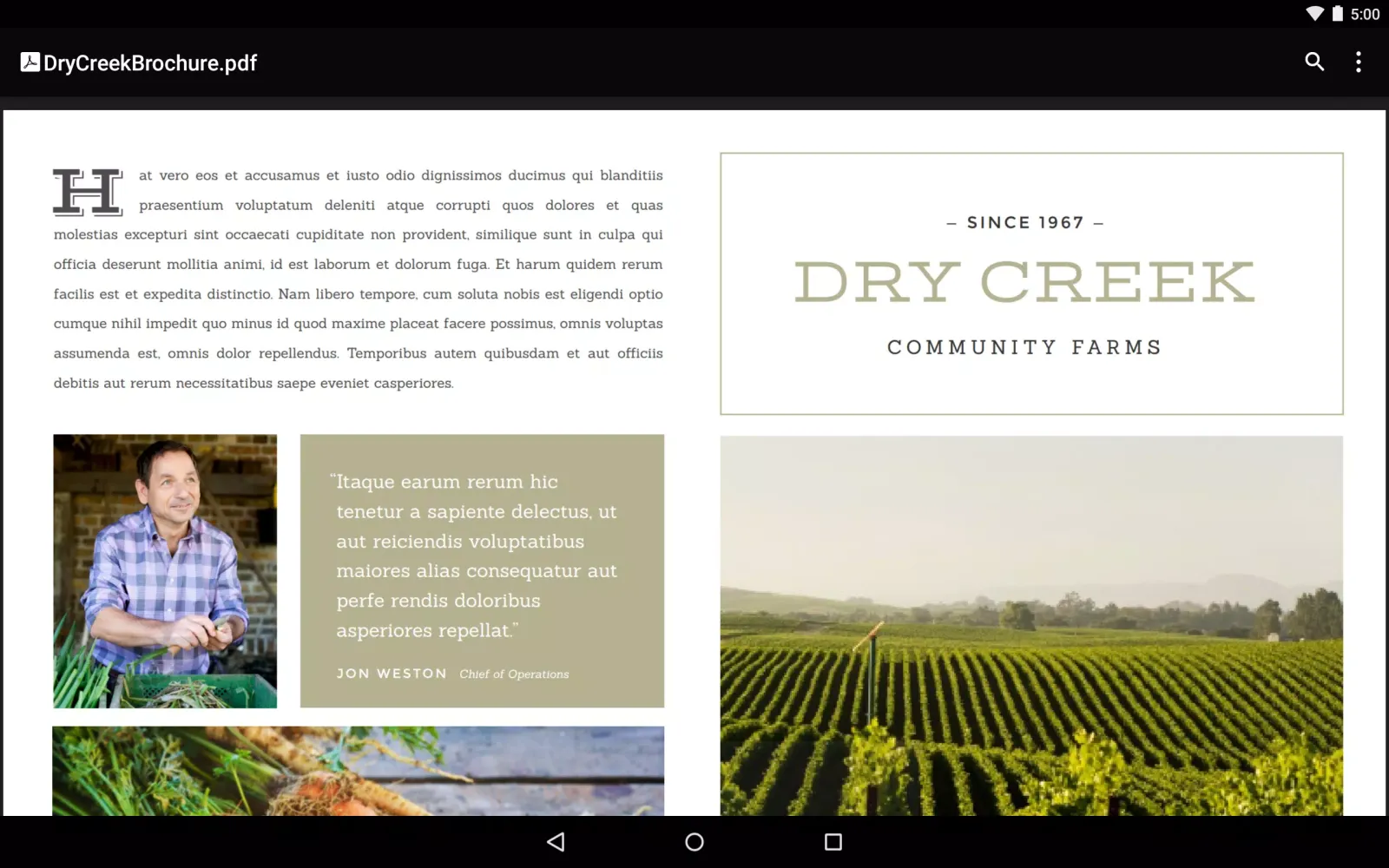 Capturas de tela do Google PDF Viewer