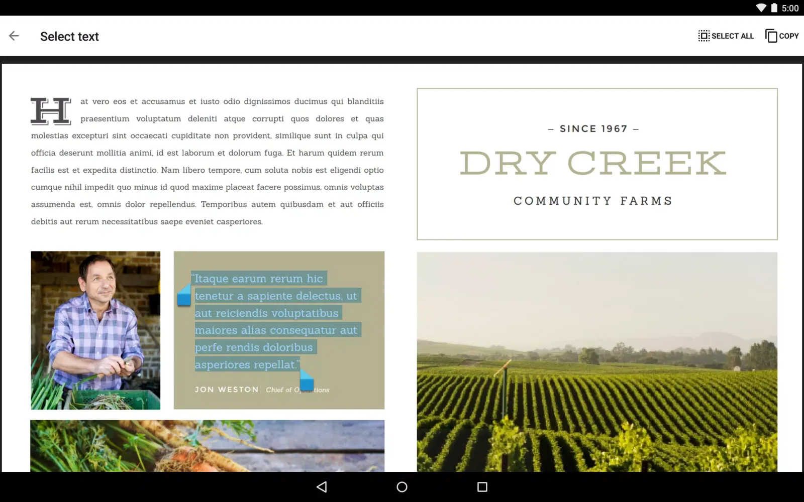 Capturas de tela do Google PDF Viewer