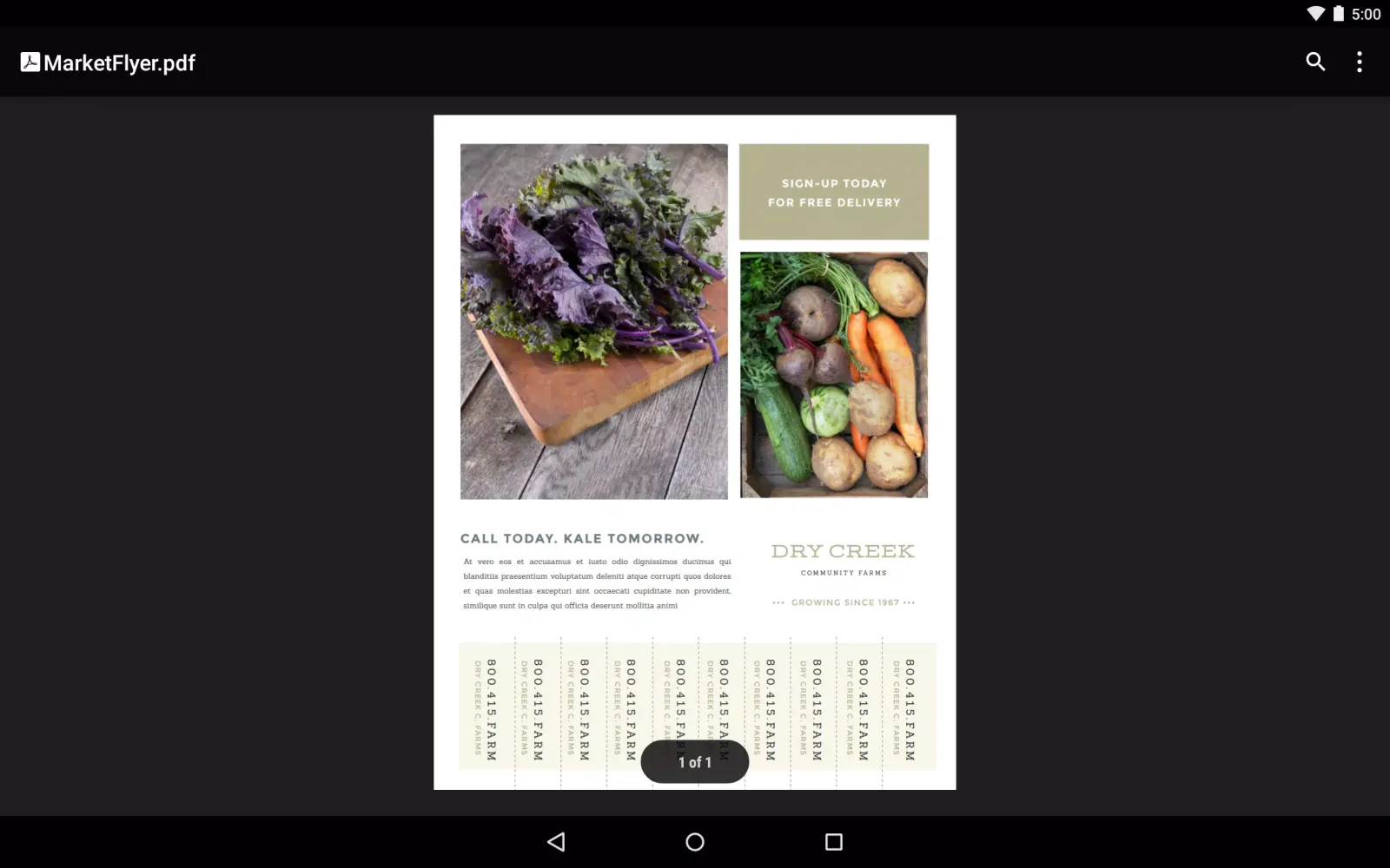 Capturas de tela do Google PDF Viewer