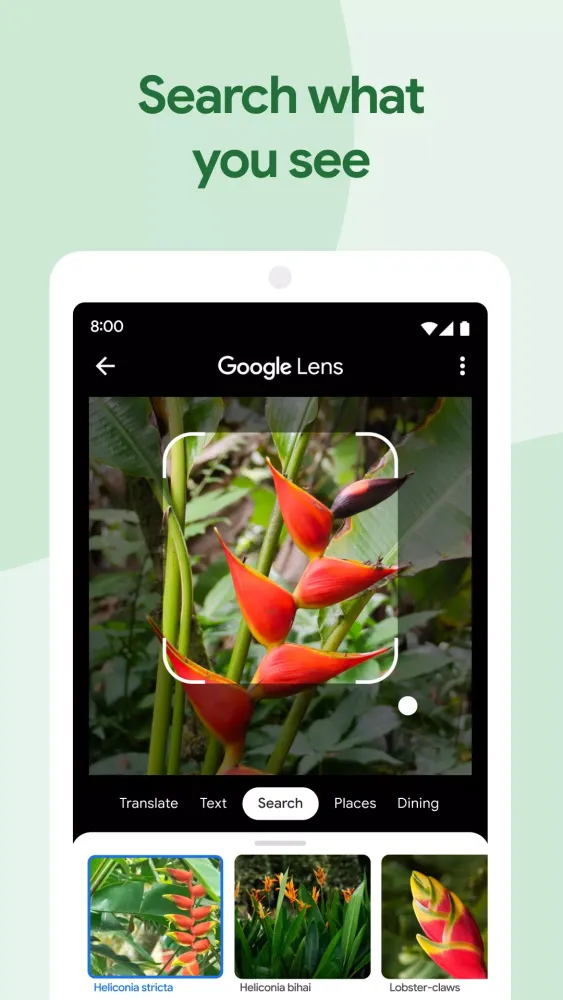 Capturas de tela do Google Photos