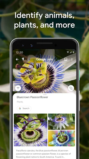 Google Lens Ekran Görüntüleri