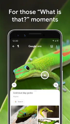 Google Lens Ekran Görüntüleri
