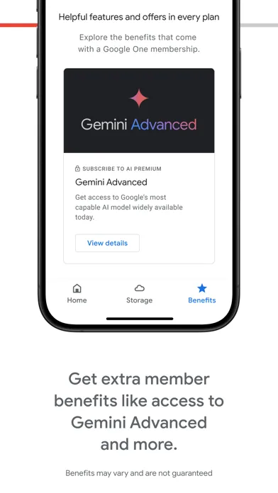 Google One Screenshots