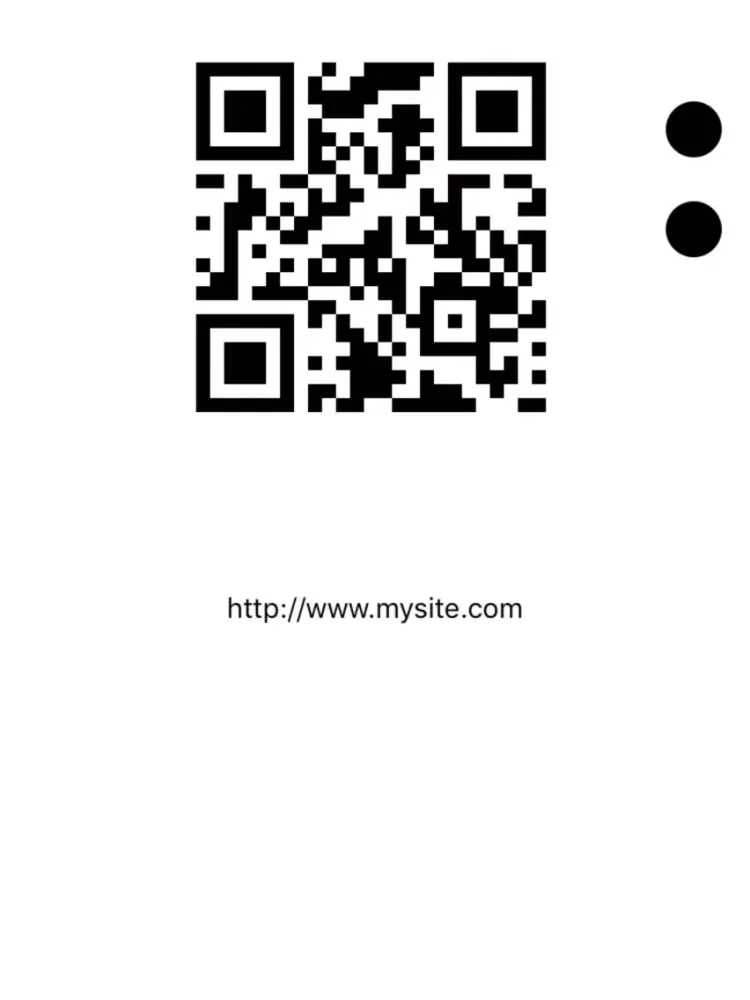 QRcode Barcode Reader Fast iPad  স্ক্রিনশট