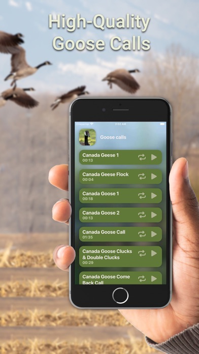 Zrzuty ekranu Hunting Calls: Goose