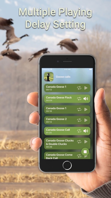 Zrzuty ekranu Hunting Calls: Goose