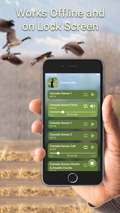 Zrzuty ekranu Hunting Calls: Goose