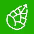Go Pinecone