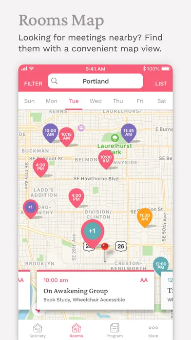 Pink Cloud:  AA Meeting Finder应用截图