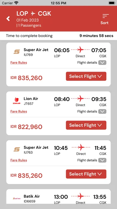 Lion Air スクリーンショット