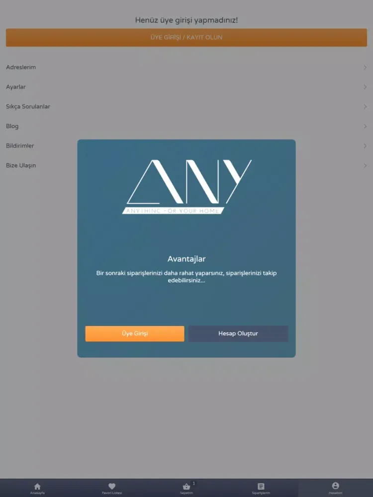 Any Home iPad  Ekran Görüntüleri