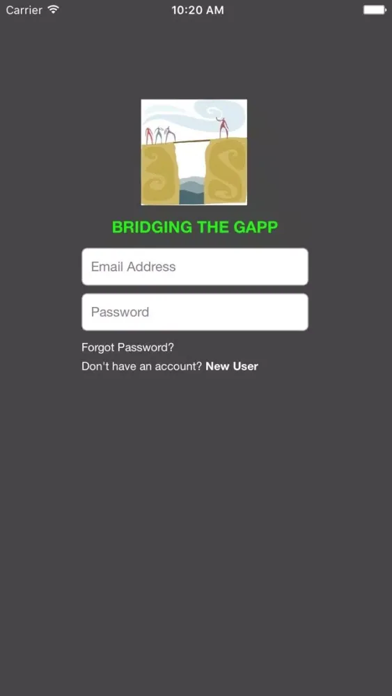 Скриншоты Bridging the gApp
