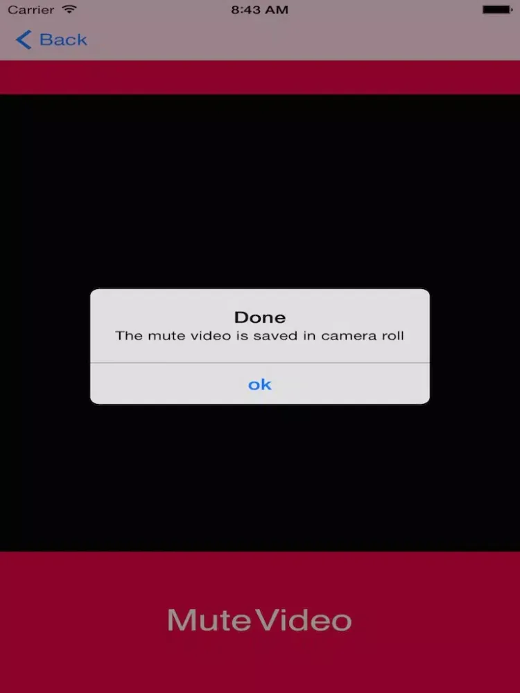 Скриншоты Mute Video - Sound Removal iPad 