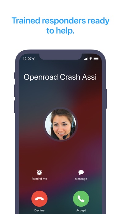 Openroad: Help in a Car Crash スクリーンショット