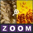 Zoom Quiz - Guess what is the picture, new fun puzzle! Zoom Quiz - Guess what is the picture, new fun puzzle!