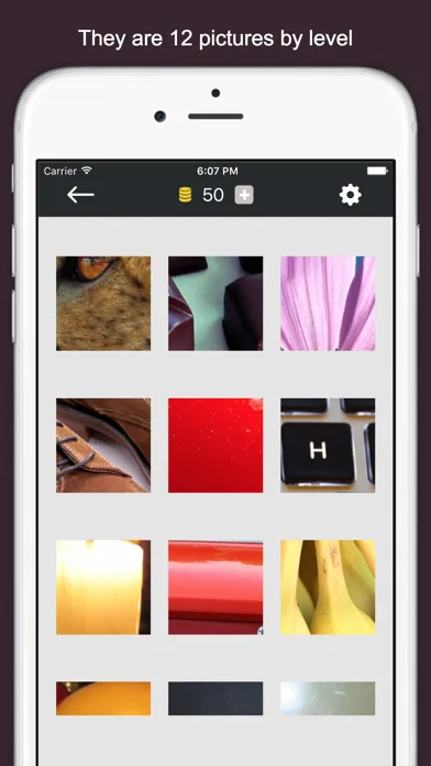 Zoom Quiz - Guess what is the picture, new fun puzzle! Ekran Görüntüleri