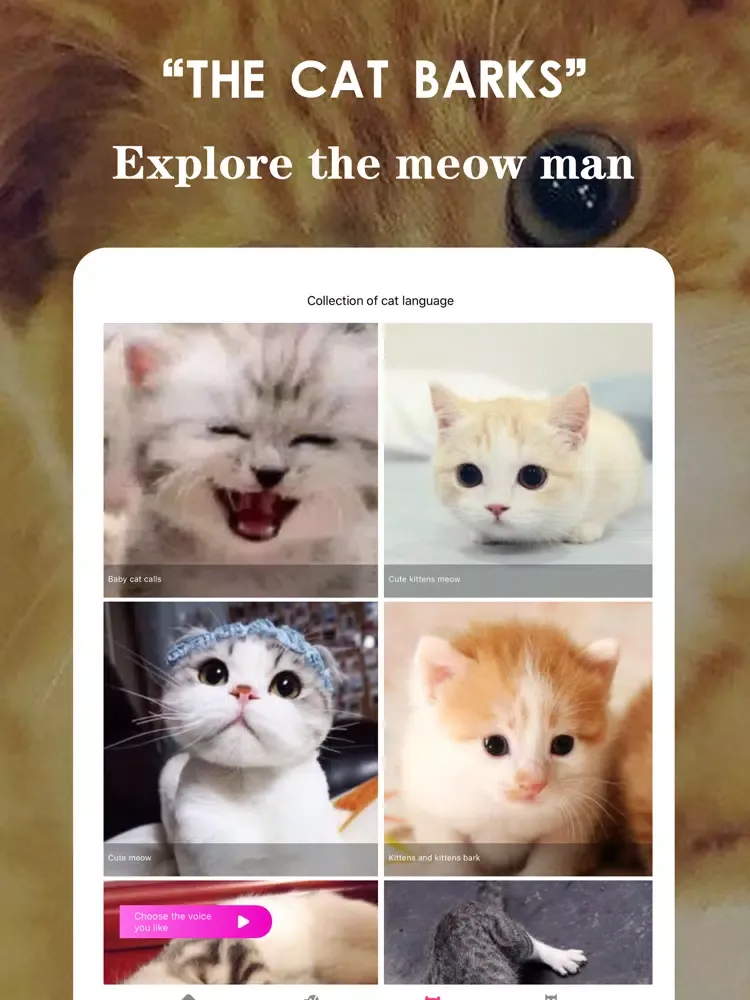 Human cat dog communicator iPad  স্ক্রিনশট