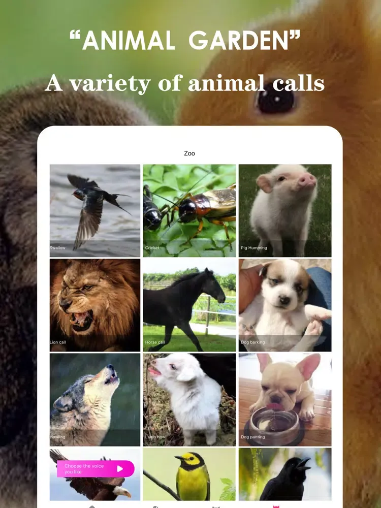 Human cat dog communicator iPad  স্ক্রিনশট