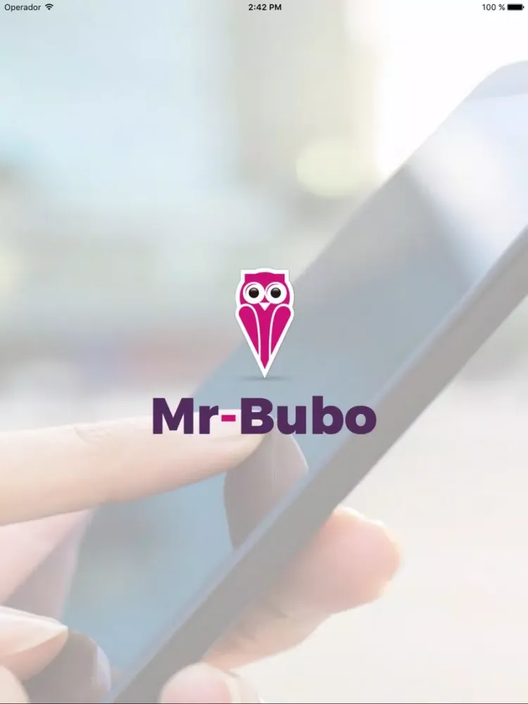 Mr-Bubo Experience iPad  스크린샷