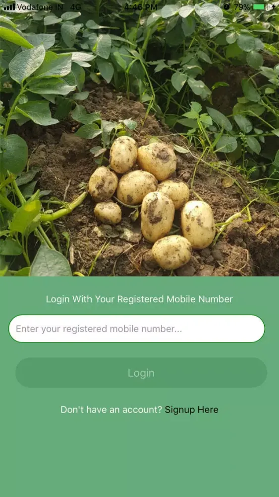 Screenshot di Green Punjab