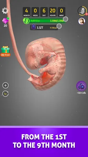 Idle 9 Months スクリーンショット