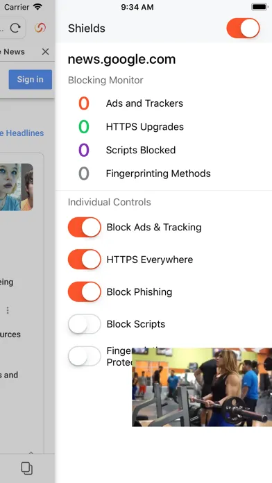 Skyfire Browser for Web Video应用截图