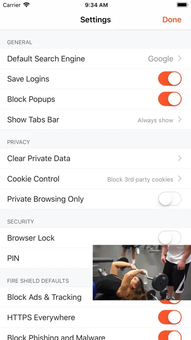 Skyfire Browser for Web Video应用截图