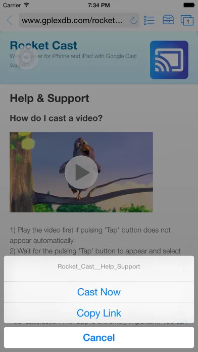 Cast King - Googlecast for TV Ekran Görüntüleri