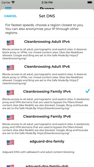 Purge: Porn Blocker & Safe DNS Screenshots
