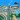 Live Street View 2020 - Satell