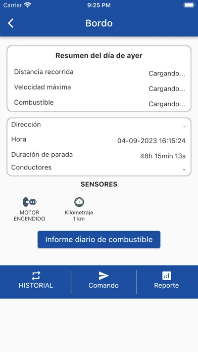 Capturas de pantalla de GPS SERVER SYSTEM