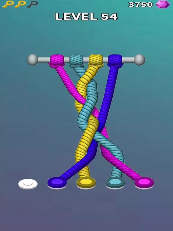 Hoop Stack : Color Rope Puzzle iPad  স্ক্রিনশট