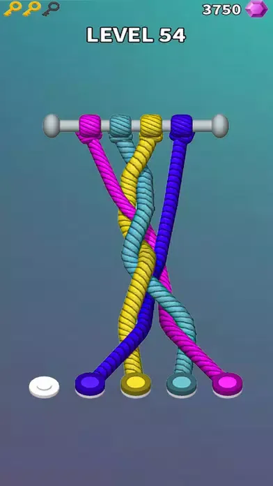 Hoop Stack : Color Rope Puzzle স্ক্রিনশট
