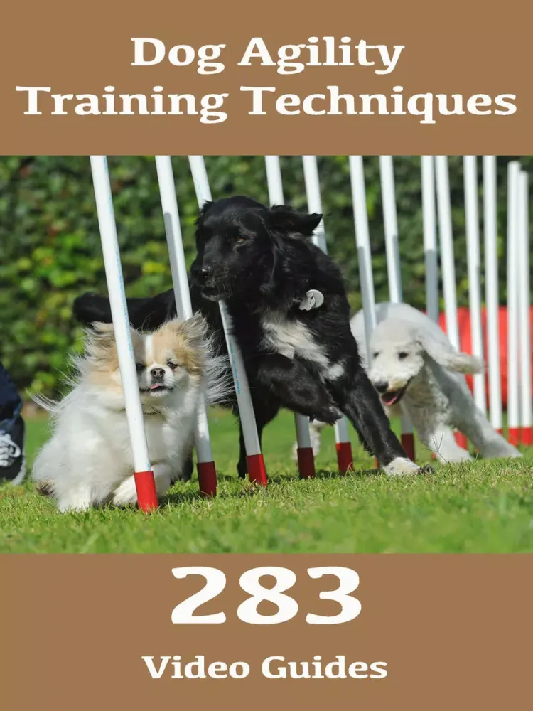 Dog Agility Training Techniques iPad 应用截图