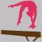 Gymnastics Academy 2016