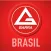 Gracie Barra Online Brasil