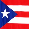 PUERTO RICAN DAY PARADE MEMOJI