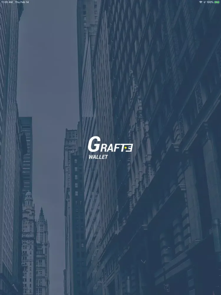 GRAFT CryptoPay Wallet iPad  Screenshots