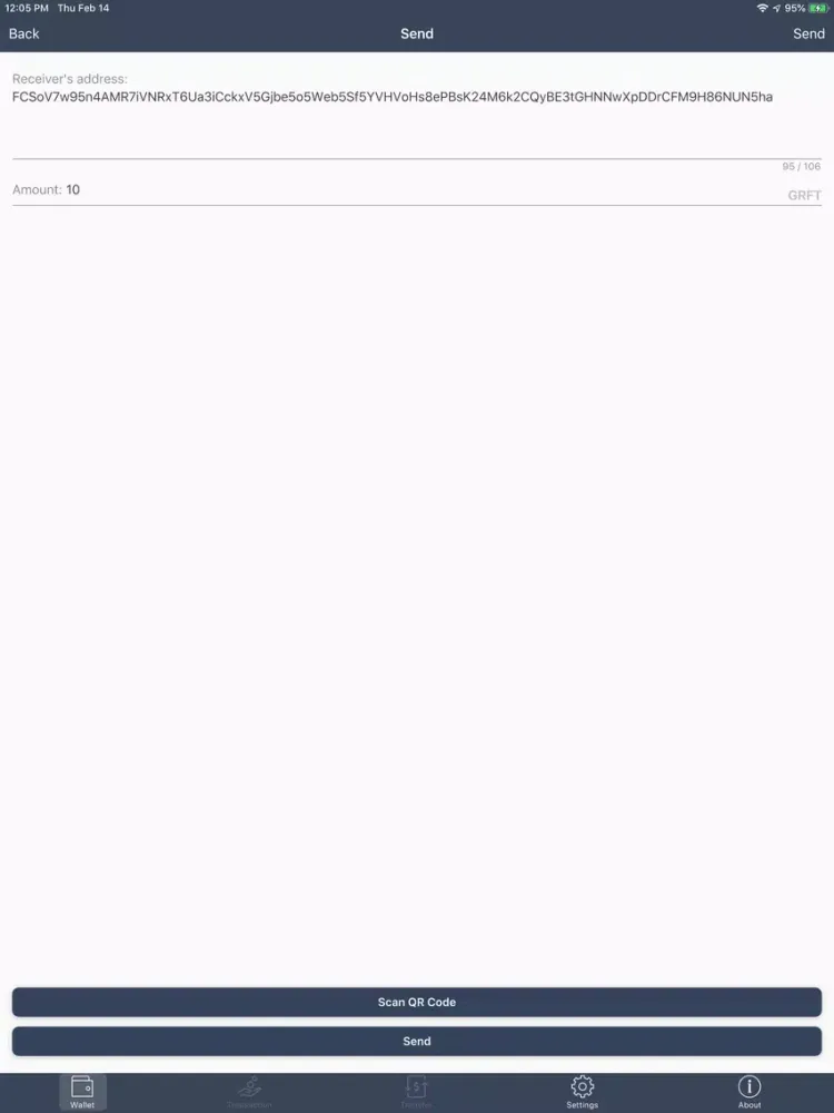 GRAFT CryptoPay Wallet iPad  Screenshots