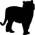 Cats - Quiz