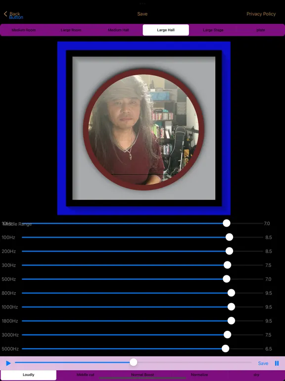 File and Audio by Grandcross iPad 应用截图