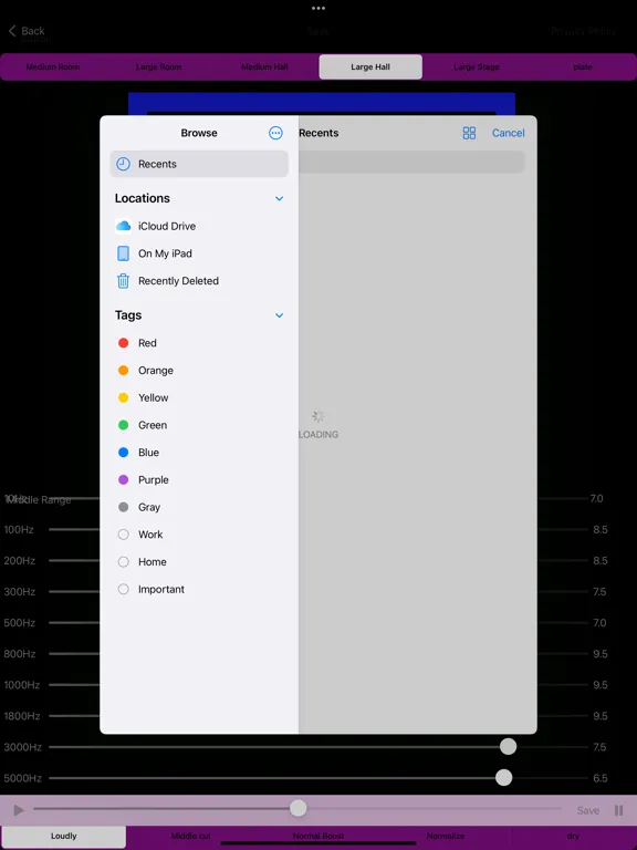 File and Audio by Grandcross iPad 应用截图