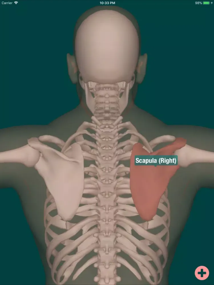 Skeleton Map 3D iPad 應用截圖
